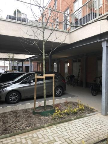 Benb Op De Trans, Arnhem Op Zijn Best! Exterior photo